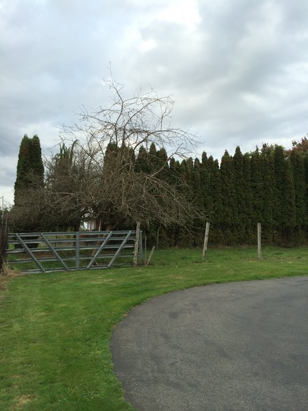 tagisu - tagtober - 1412209782-23328-577