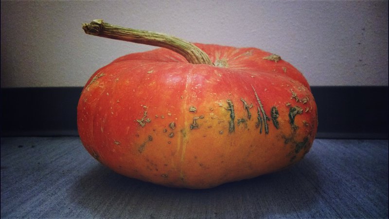 tagisu - tagtober - 1412263255-7445-746