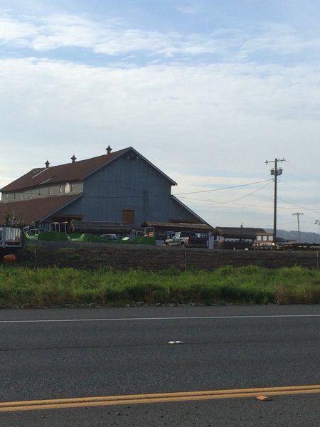 tagisu - tagtober - 1412293779-15851-362