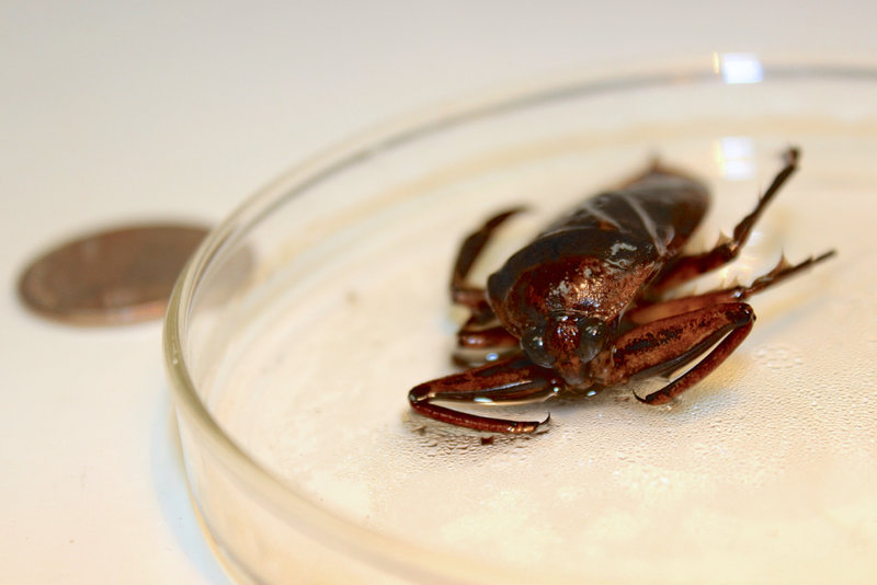 tagisu - tagtober - 1412313163-24778-577