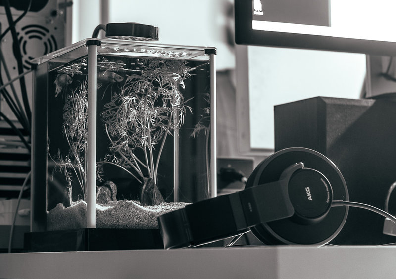 tagisu - tagtober - 1412315015-25915-858