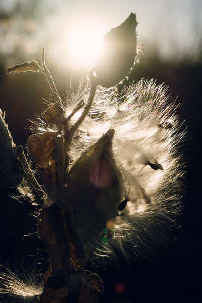 tagisu - tagtober - 1412385815-14569-442