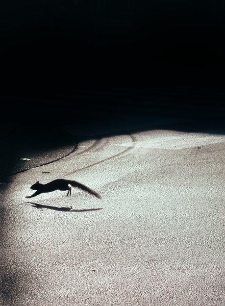 tagisu - tagtober - 1412391946-19478-74