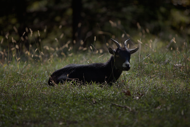 tagisu - tagtober - 1412468708-5204-542