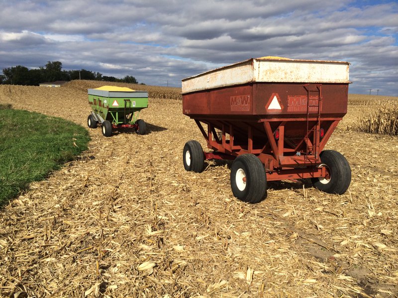 tagisu - tagtober - 1412544390-20974-639