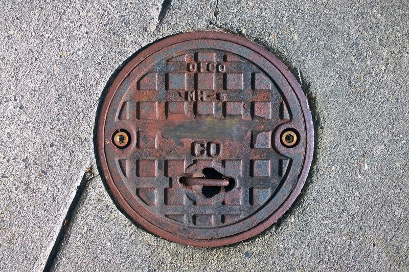 tagisu - tagtober - 1412569518-5056-779