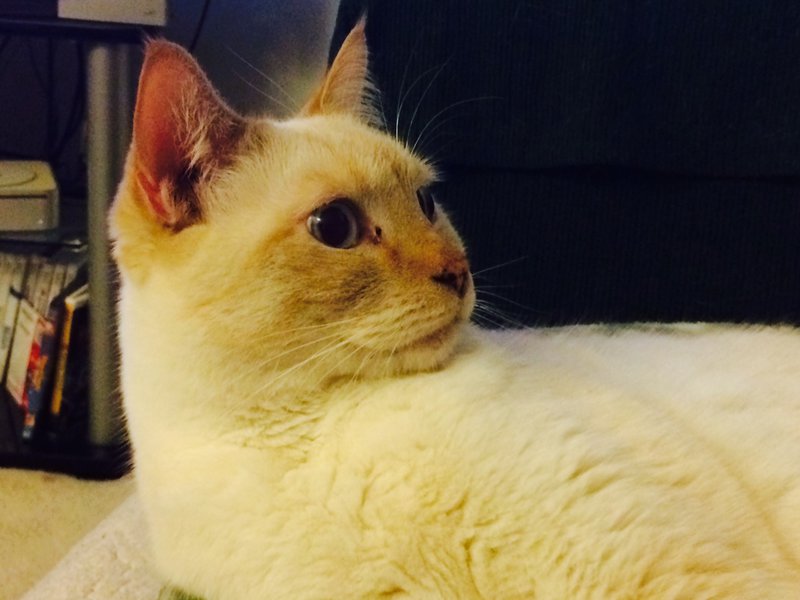 tagisu - tagtober - 1412658656-1479-676