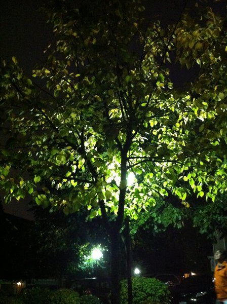 tagisu - tagtober - 1412743290-26790-161