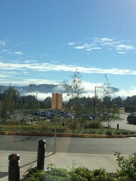 tagisu - tagtober - 1412743693-27092-558