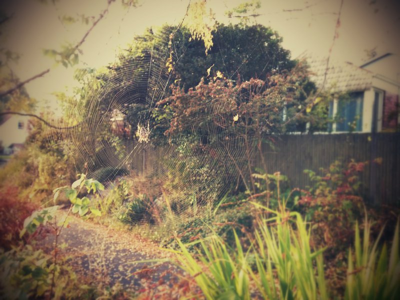 tagisu - tagtober - 1412814301-19076-512