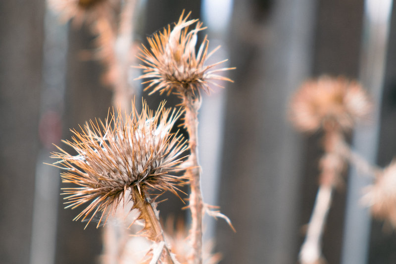 tagisu - tagtober - 1412827857-29692-779