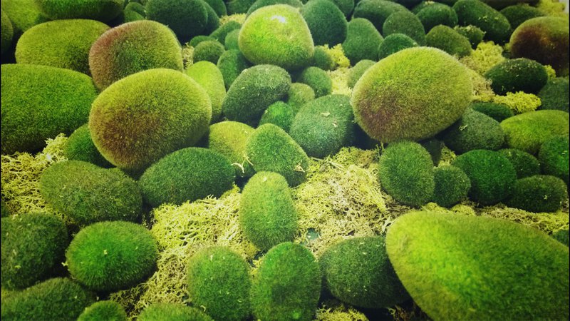 tagisu - tagtober - 1412871177-27374-129