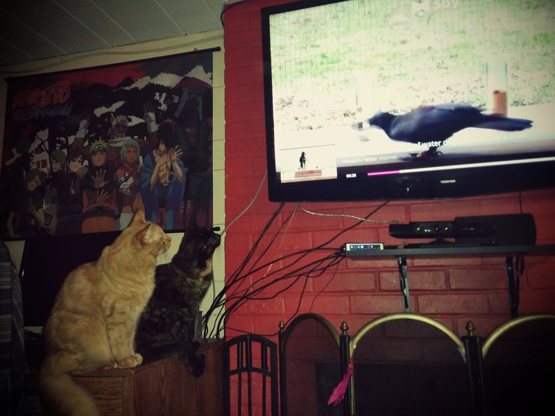 tagisu - tagtober - 1412909523-19895-852