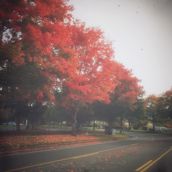 tagisu - tagtober - 1413151845-11255-51