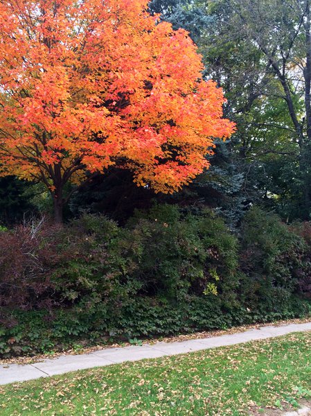 tagisu - tagtober - 1413152099-11324-581