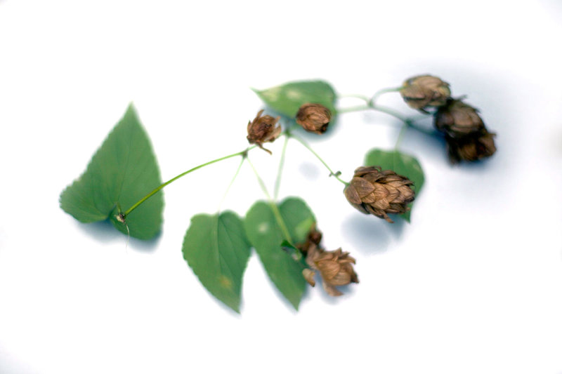 tagisu - tagtober - 1413166968-17638-477