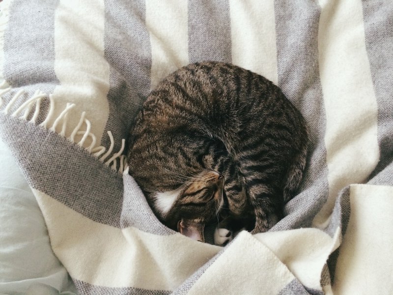 tagisu - tagtober - 1413260070-12838-779