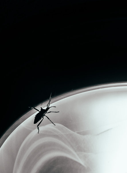 tagisu - tagtober - 1413265393-16241-555