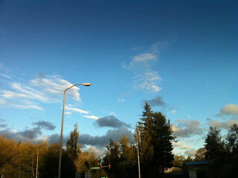 tagisu - tagtober - 1413433670-19137-367