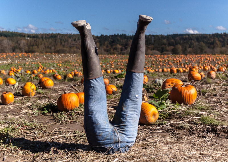 tagisu - tagtober - 1413517542-8688-544