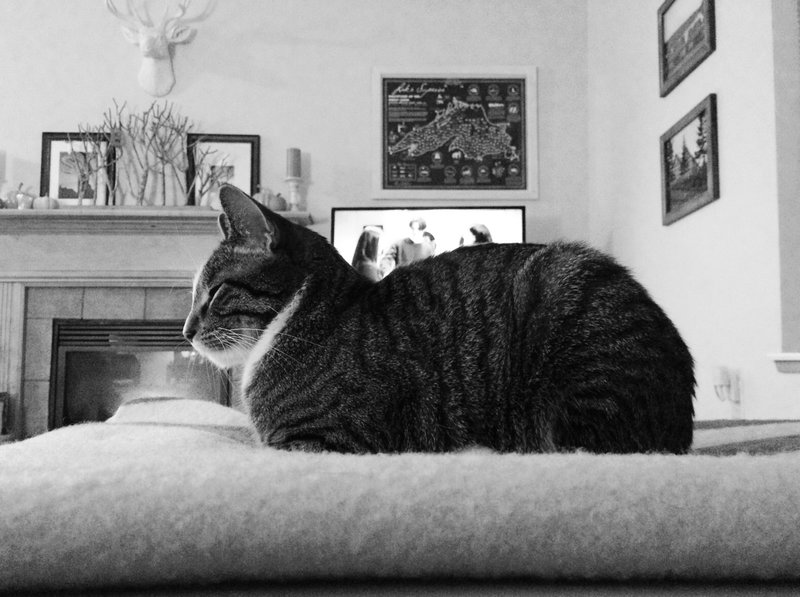 tagisu - tagtober - 1413606124-2396-520