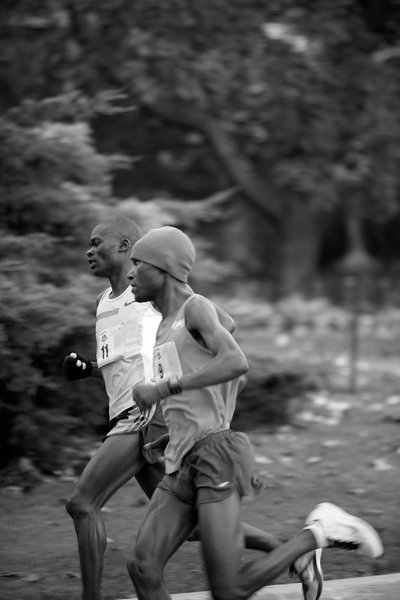 tagisu - tagtober - 1413768495-9883-818