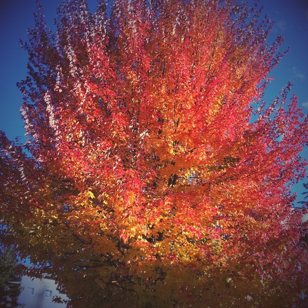 tagisu - tagtober - 1413772330-12235-65