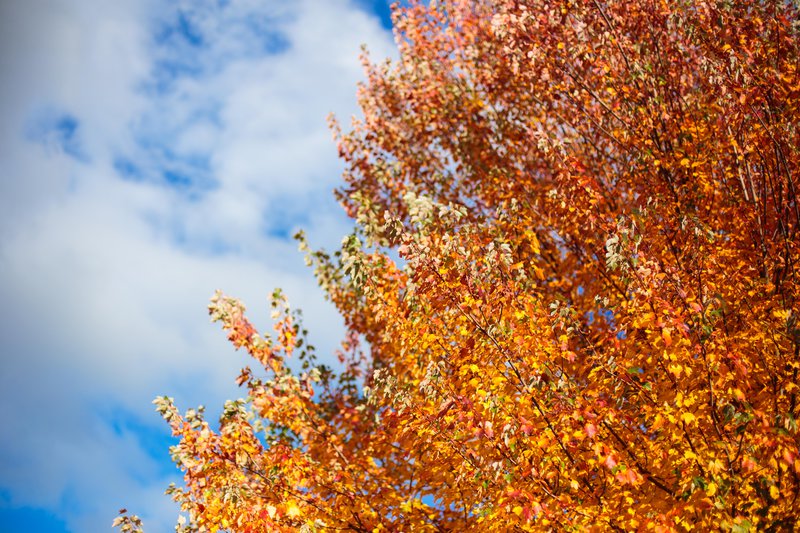 tagisu - tagtober - 1413782987-19956-93