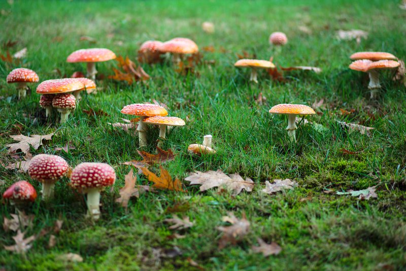 tagisu - tagtober - 1413837739-7269-898