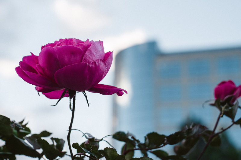 tagisu - tagtober - 1413856966-19452-18