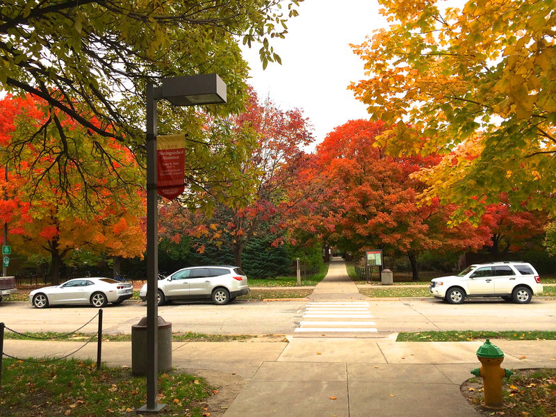 tagisu - tagtober - 1413942443-29720-321