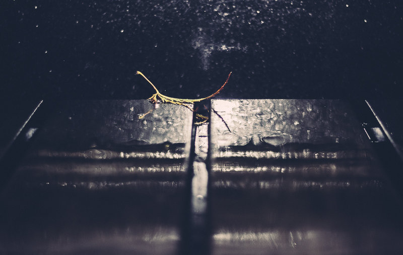 tagisu - tagtober - 1414031969-29333-879