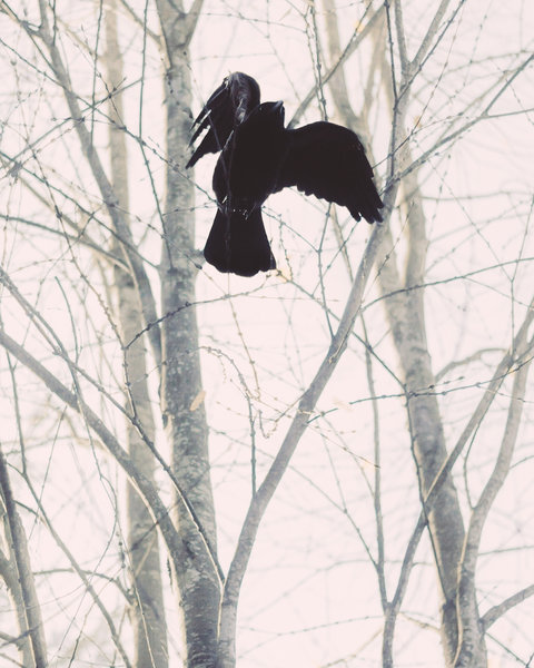 tagisu - tagtober - 1414128517-28329-610