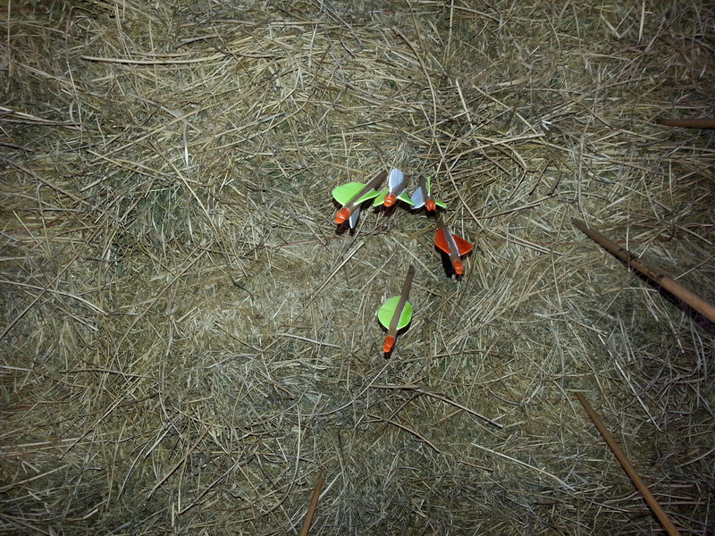 tagisu - tagtober - 1414215754-21794-229