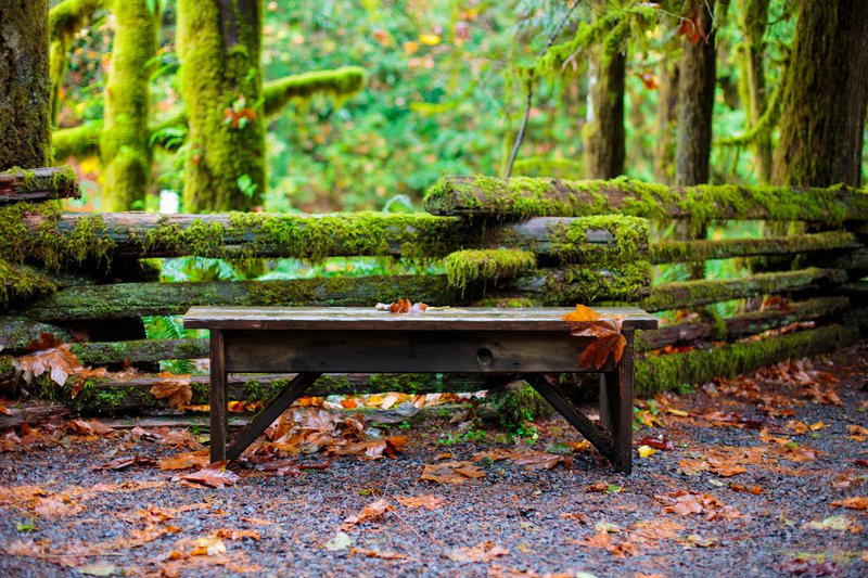 tagisu - tagtober - 1414300639-11676-764