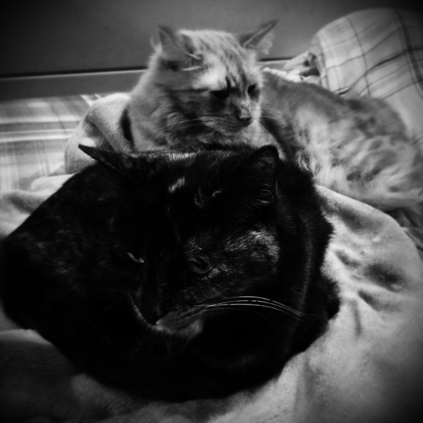 tagisu - tagtober - 1414360949-18502-880