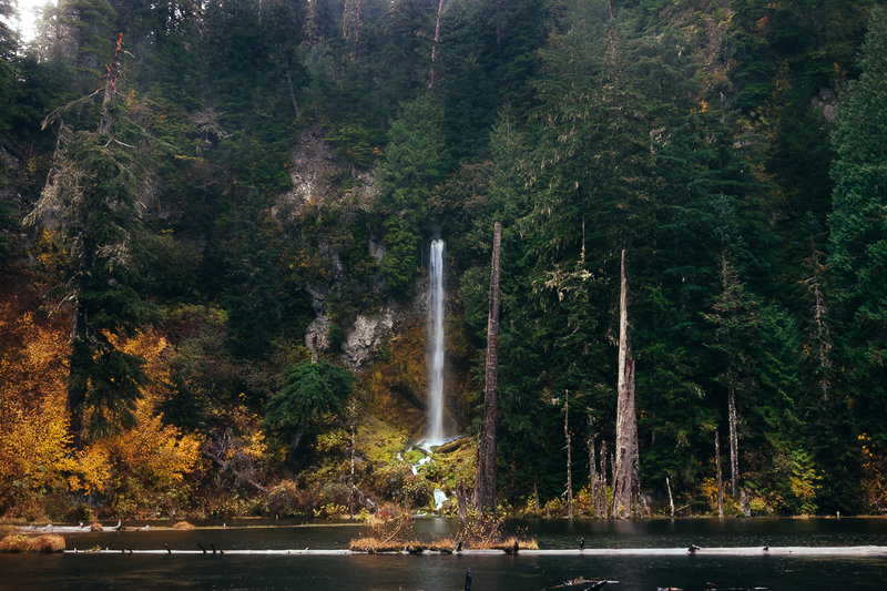 tagisu - tagtober - 1414389406-4024-588