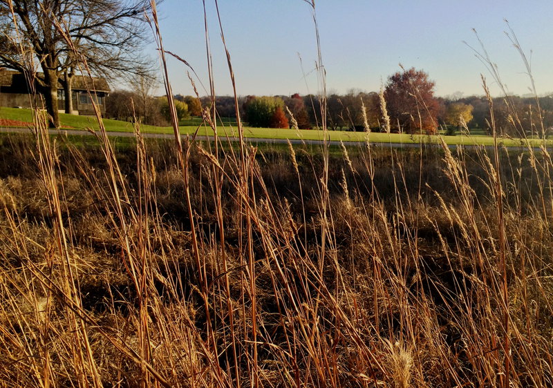 tagisu - tagtober - 1414624070-2416-223