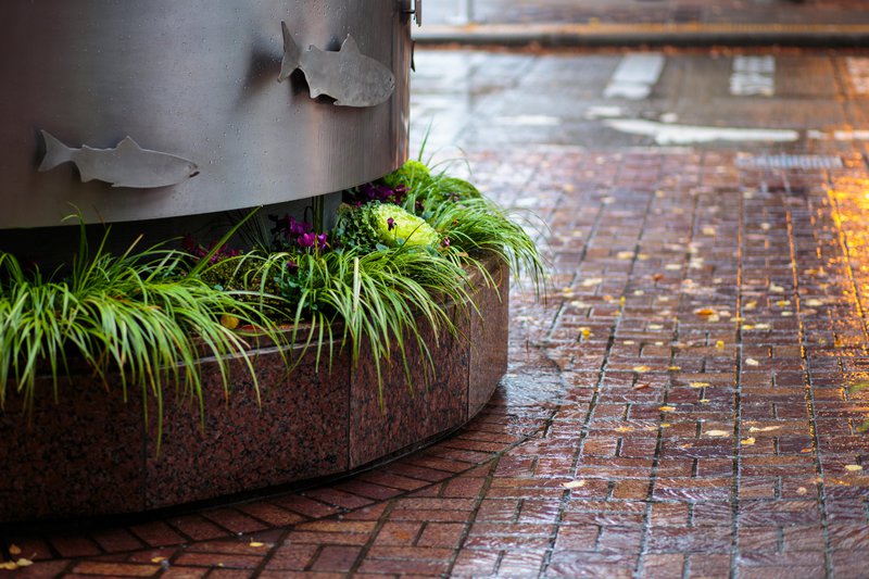 tagisu - tagtober - 1414728804-7031-574