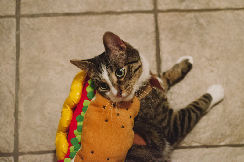 tagisu - tagtober - 1414734265-10532-674